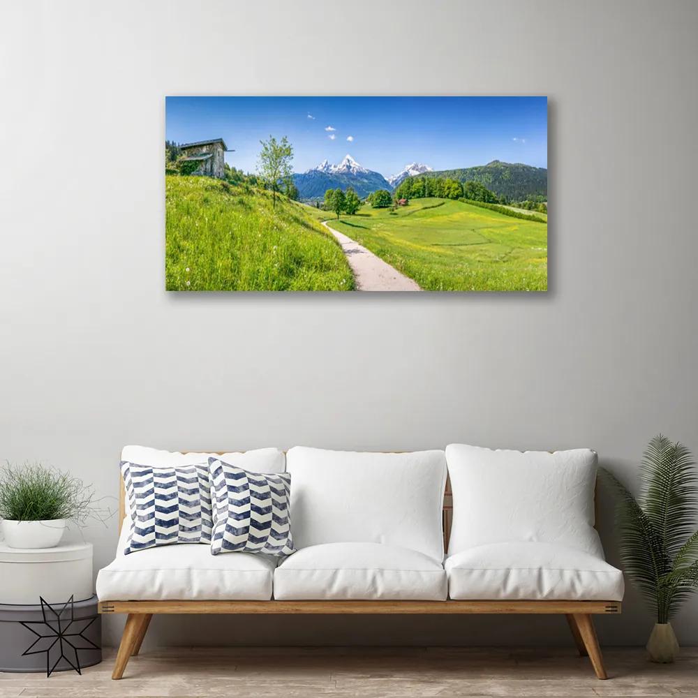 Obraz Canvas Hory lúka chodník údolí 125x50 cm