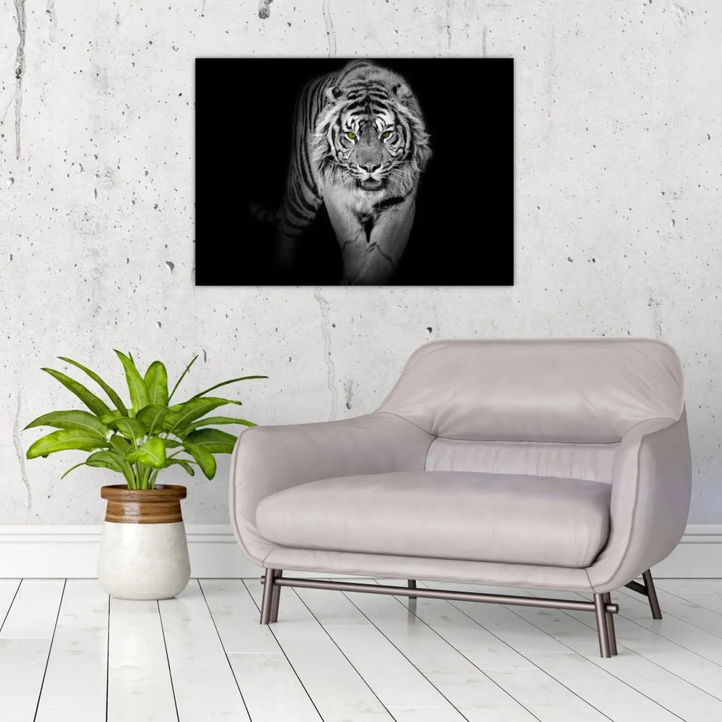 Obraz - Tiger so žltými očami (70x50 cm)