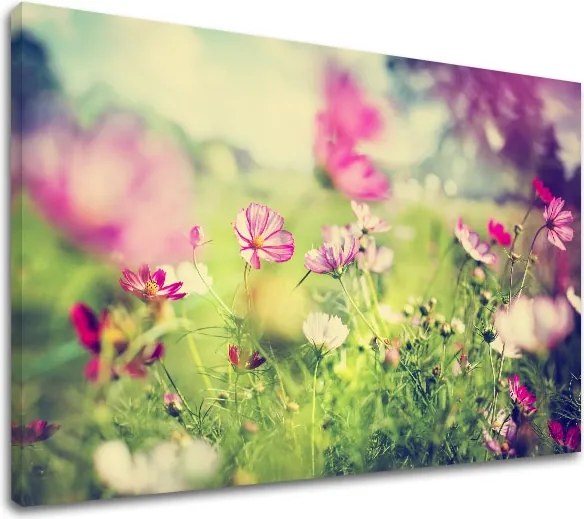 Obraz na stenu RUŽOVÉ KVETY_165-11