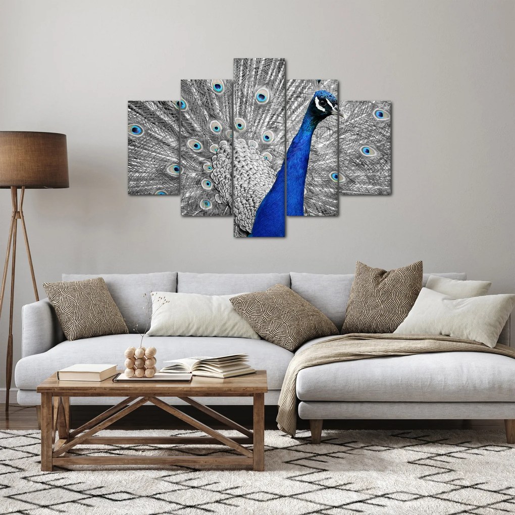 Obraz - modrý páv (150x105 cm)