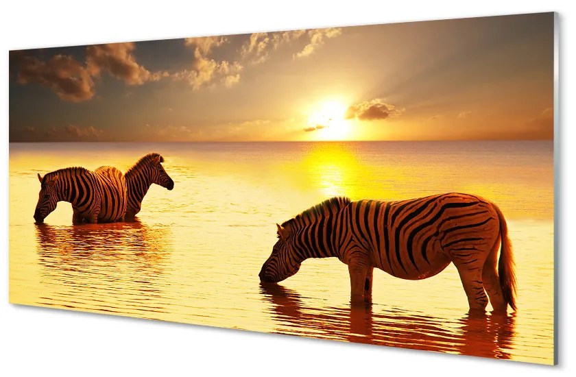 Obraz na akrylátovom skle Zebry voda západ slnka 120x60 cm