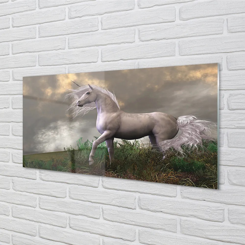 Nástenný panel  Unicorn mraky 100x50 cm