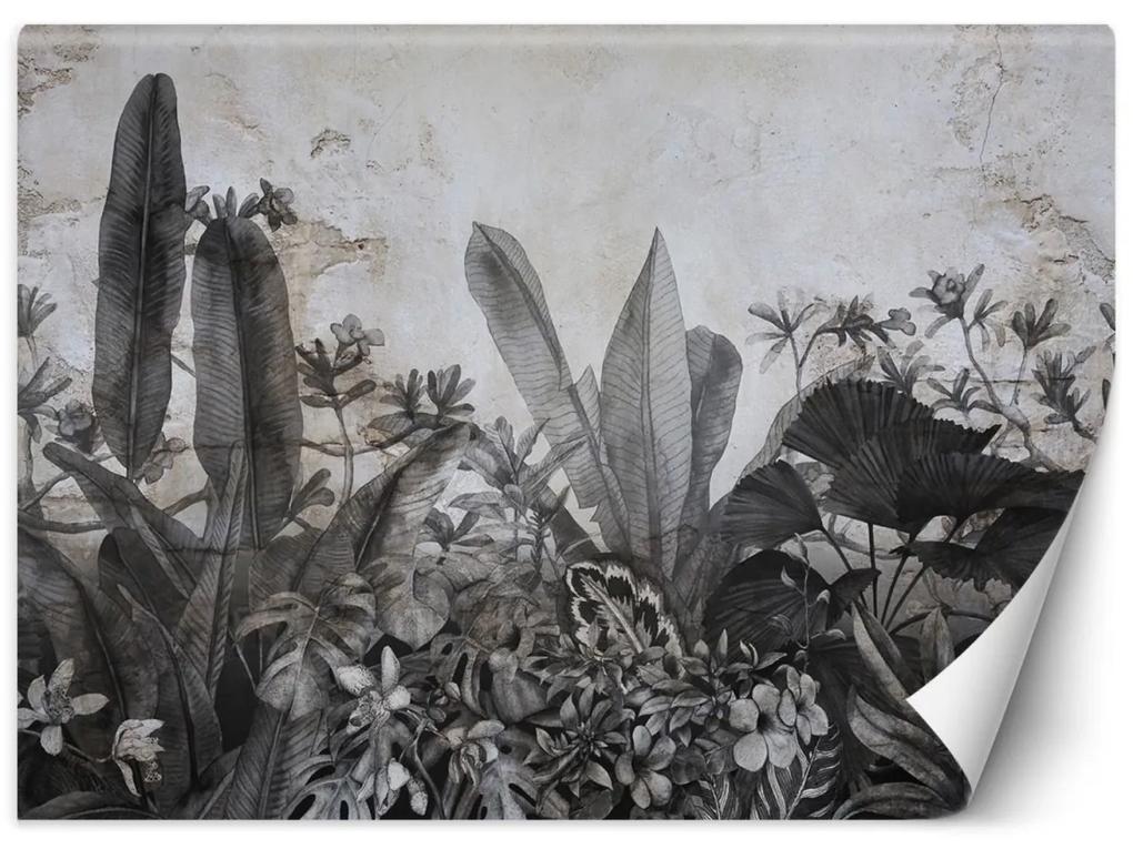 Fototapeta, Černobílé tropické listy na betonu - 200x140 cm