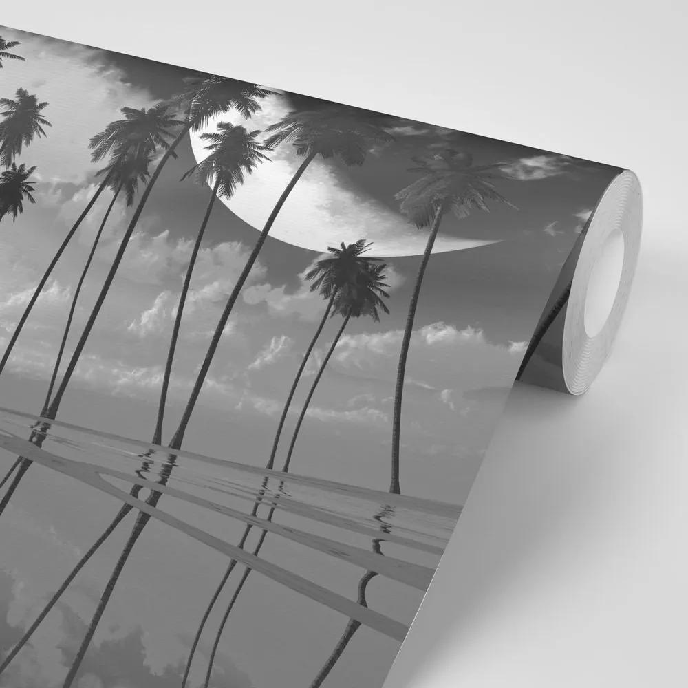 Tapeta čiernobiele tropické palmy - 225x150