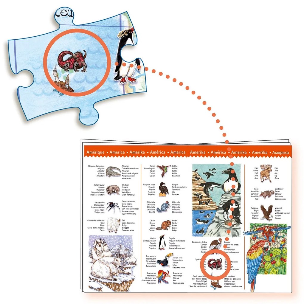 Vyhľadávacie puzzle s plagátom - Zvieratá sveta - 100 ks