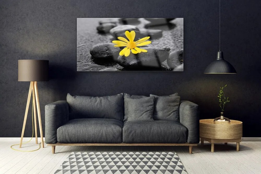 Obraz plexi Kvet kamene rastlina kúpele 120x60 cm