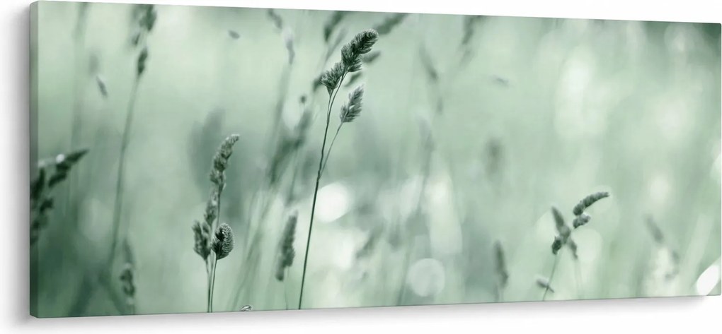Obraz - Zelená lúka (120x50 cm)