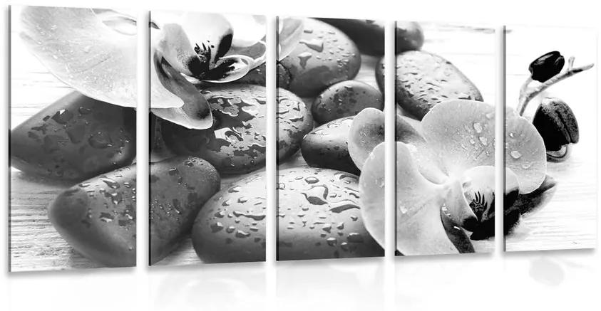 5-dielny obraz krásna súhra kameňov a orchidey v čiernobielom prevedení Varianta: 200x100