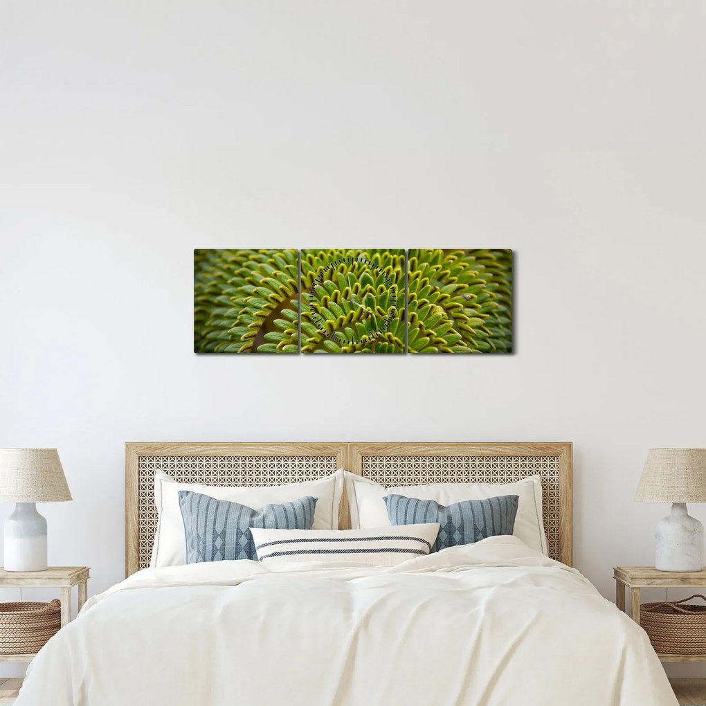 Obraz - Papraď (s hodinami) (90x30 cm)
