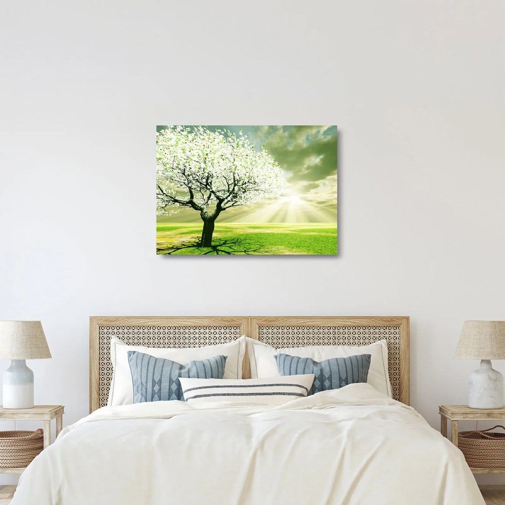Sklenený obraz kvitnúceho stromu (70x50 cm)