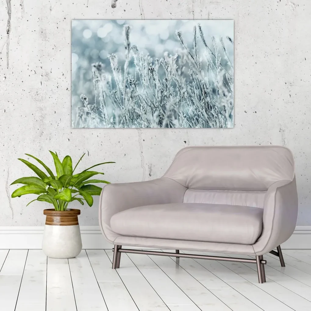 Obraz - Kúzlo zimy (90x60 cm)