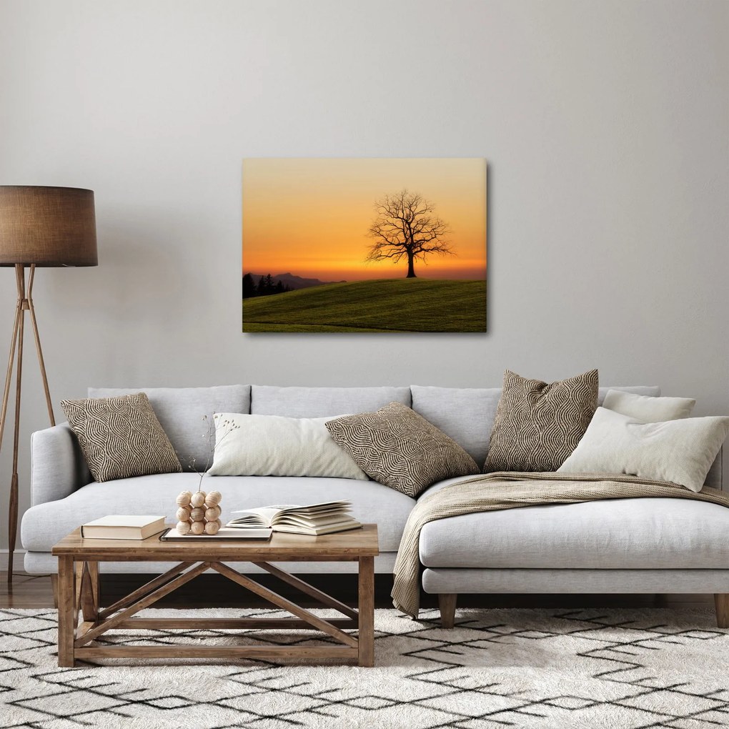 Obraz západu slnka na lúke (70x50 cm)