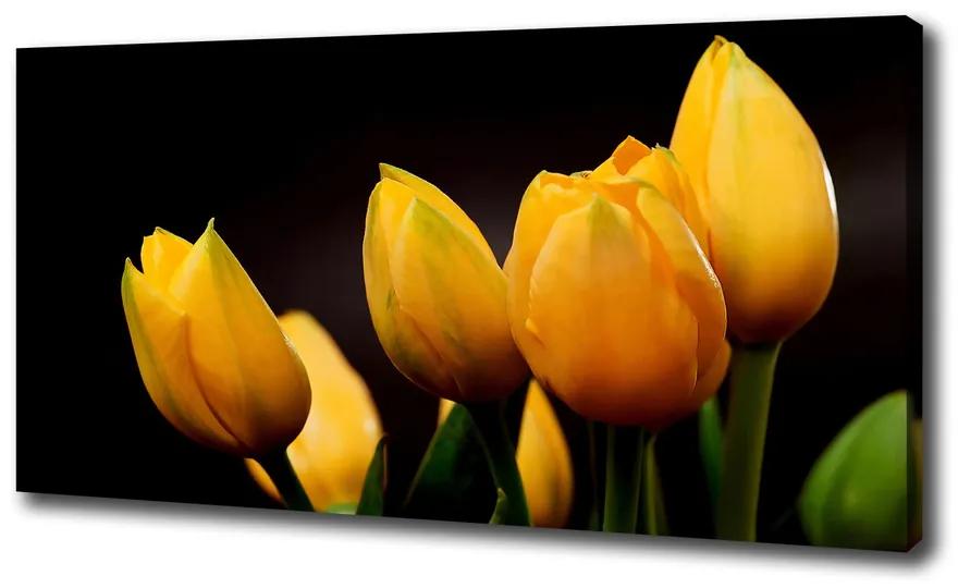 Foto obraz na plátne Žlté tulipány pl-oc-100x50-f-64836622