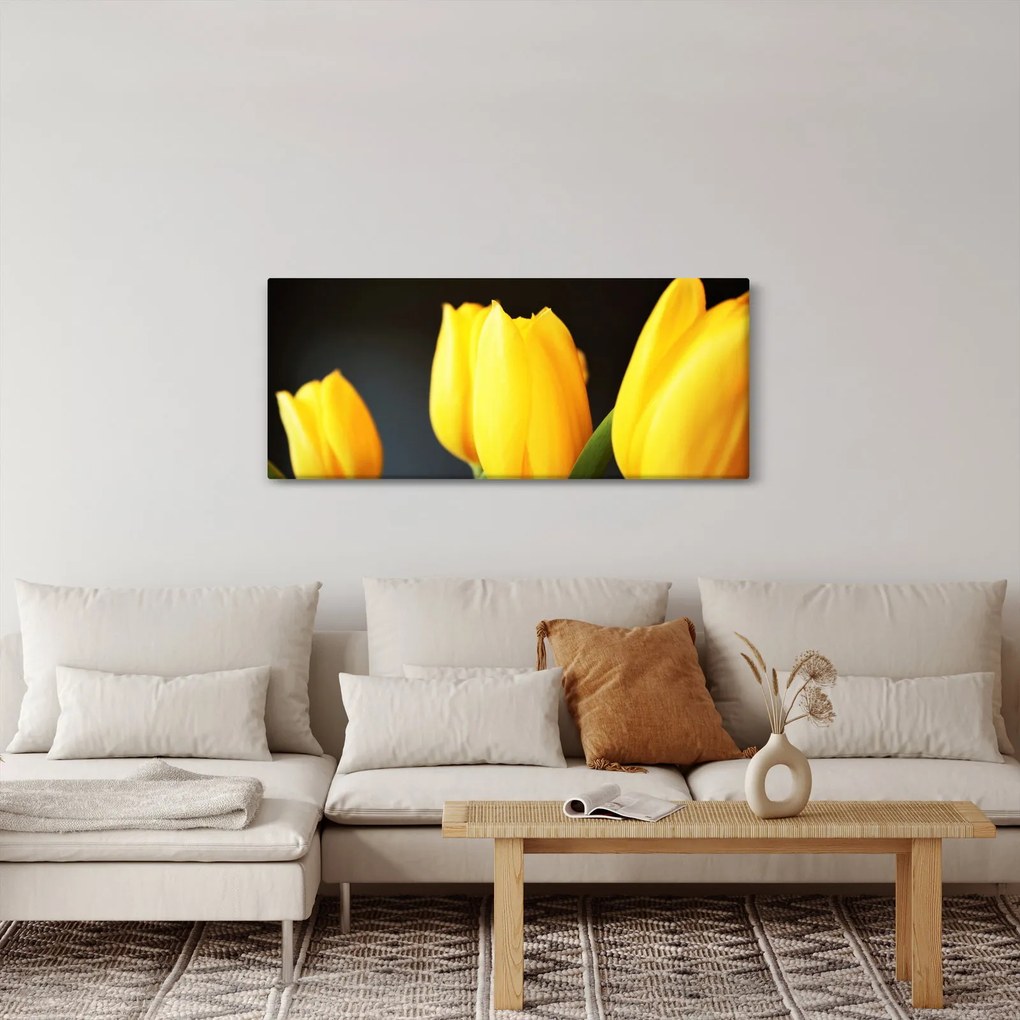 Obraz tulipánov (120x50 cm)