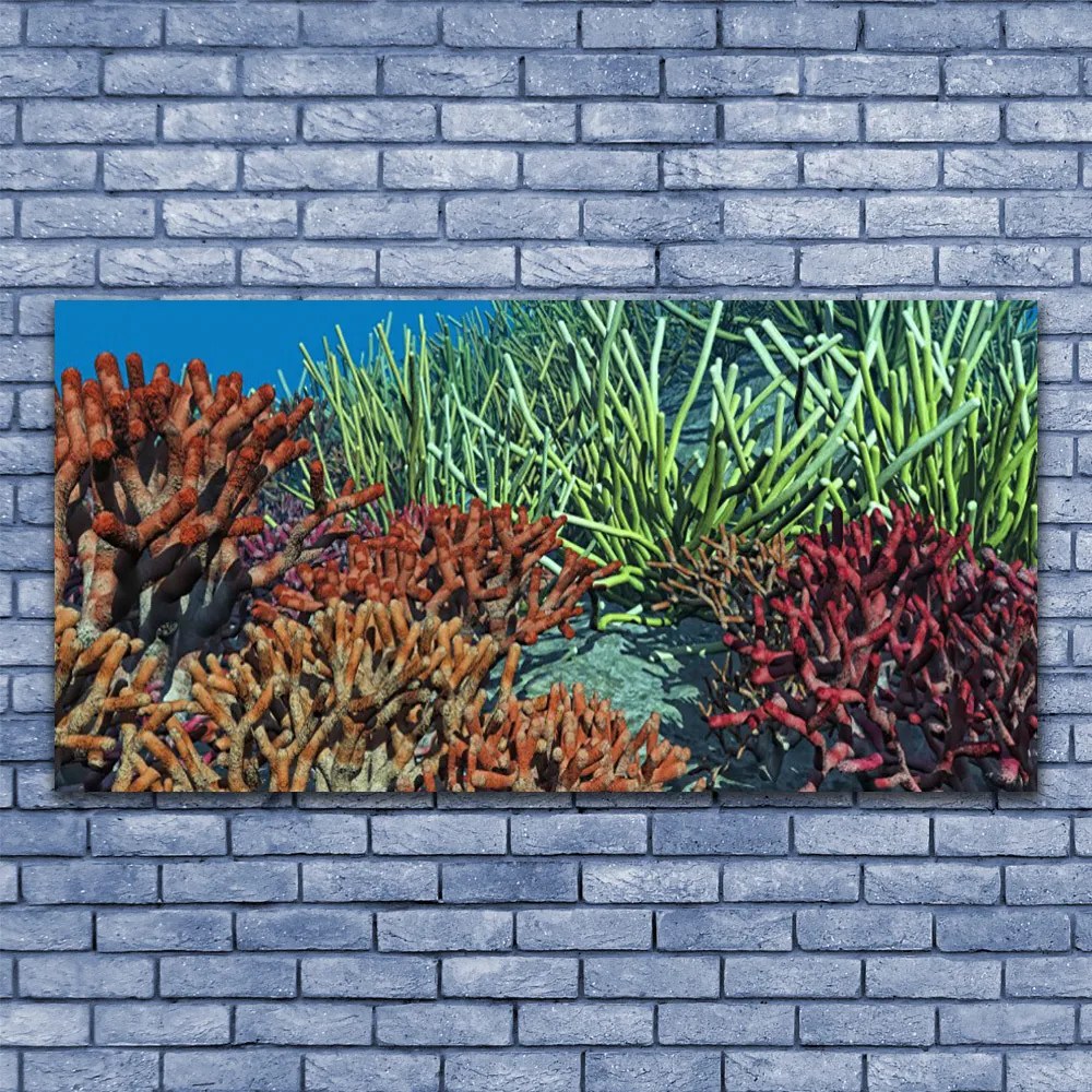 Obraz plexi Koralový útes príroda 120x60 cm