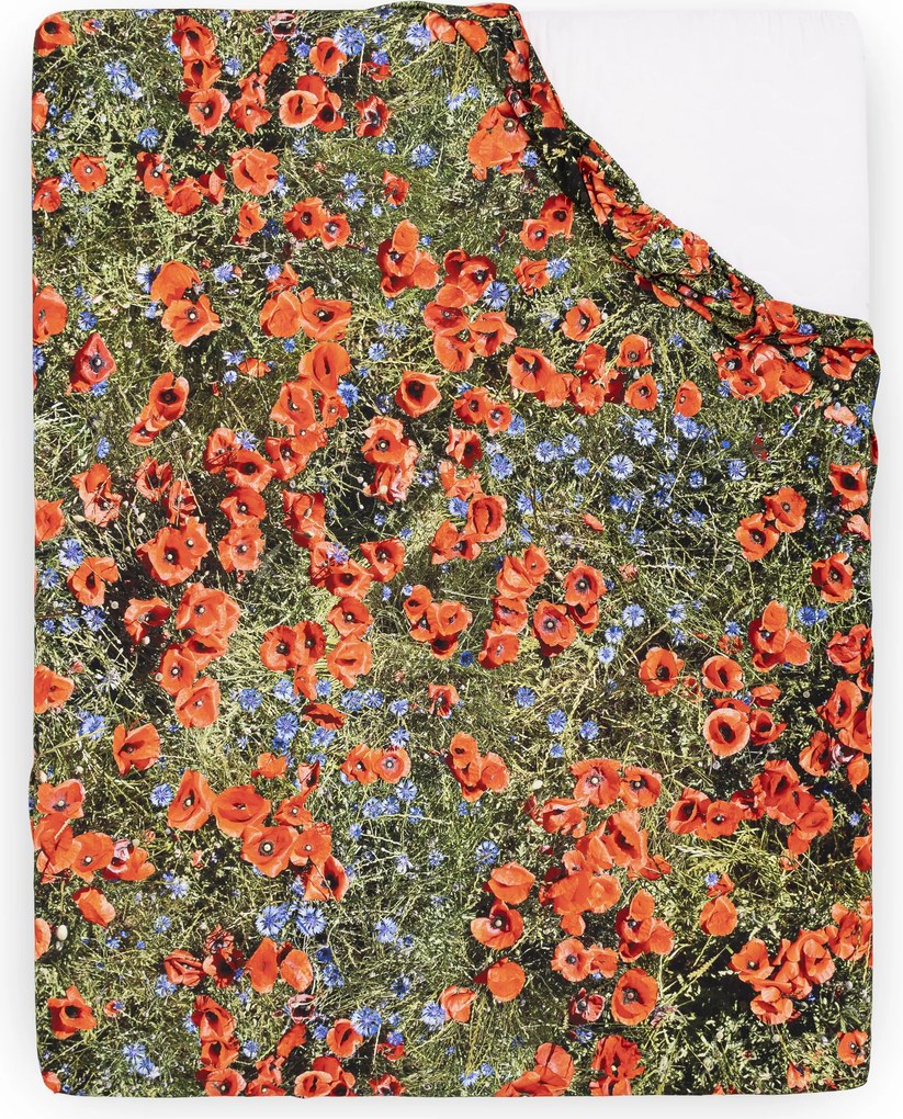 Plachta s gumou Hayka maky 200 x 220 cm
