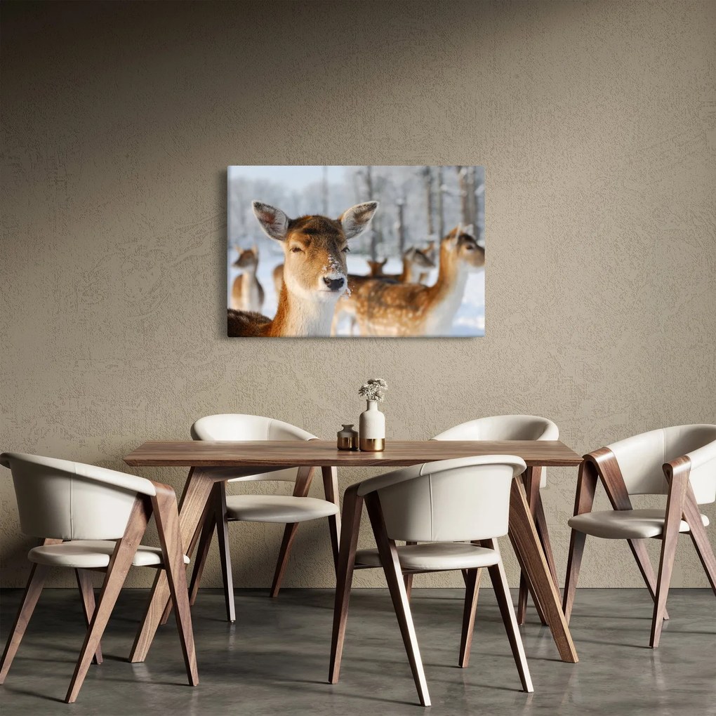 Obraz - Jeleňča (90x60 cm)
