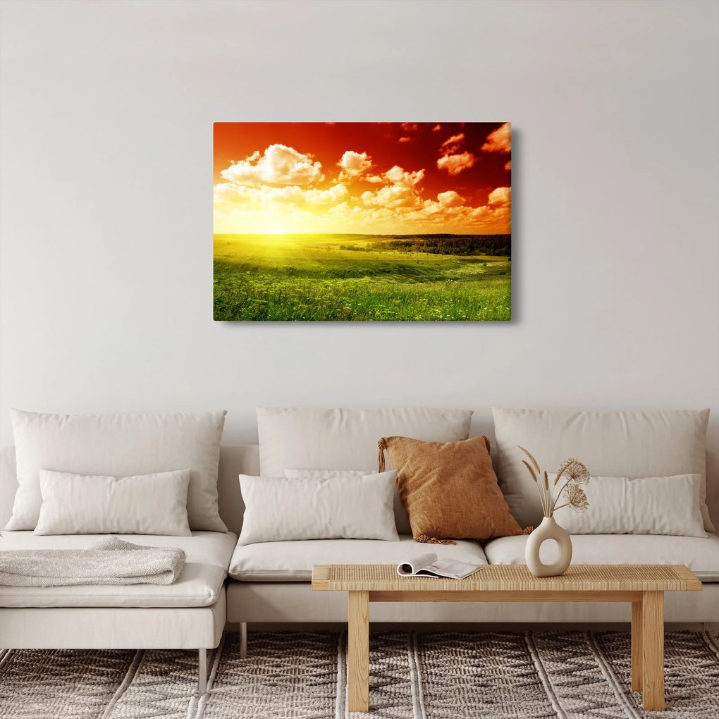 Obraz letnej lúky (90x60 cm)