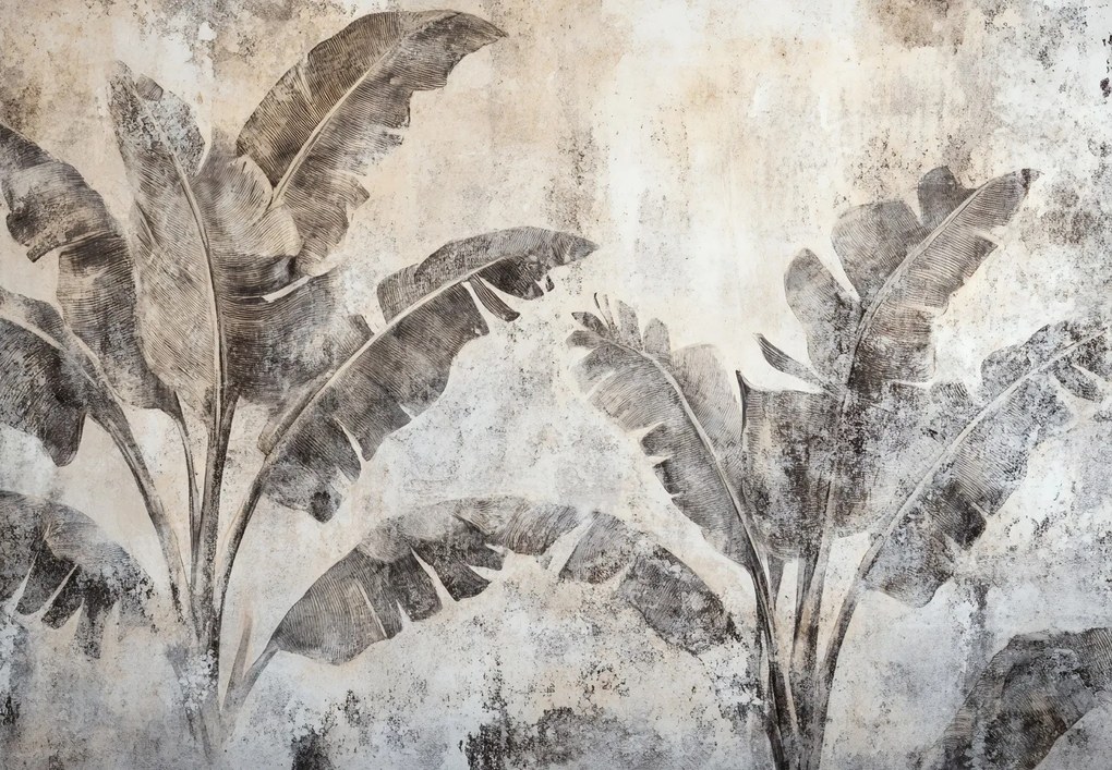 Fototapeta - Banánovník na stene (147x102 cm)