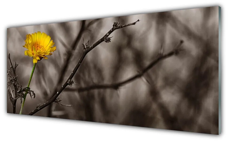 Obraz na akrylátovom skle Vetva kvet 125x50 cm