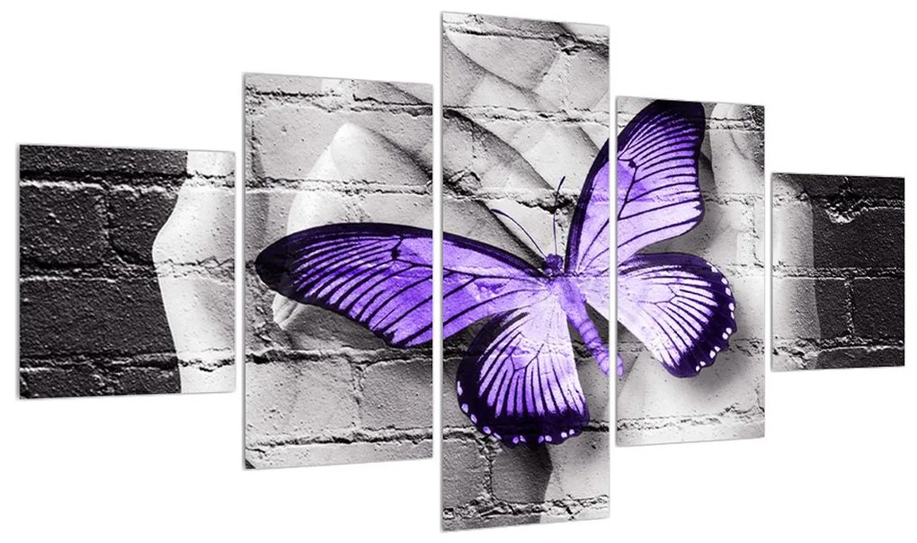 Moderný obraz dlaní s motýľom (K012389K12570)