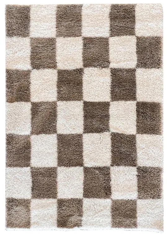 Koberec Shaggy Blizz 1,6/2,3 79860 biela