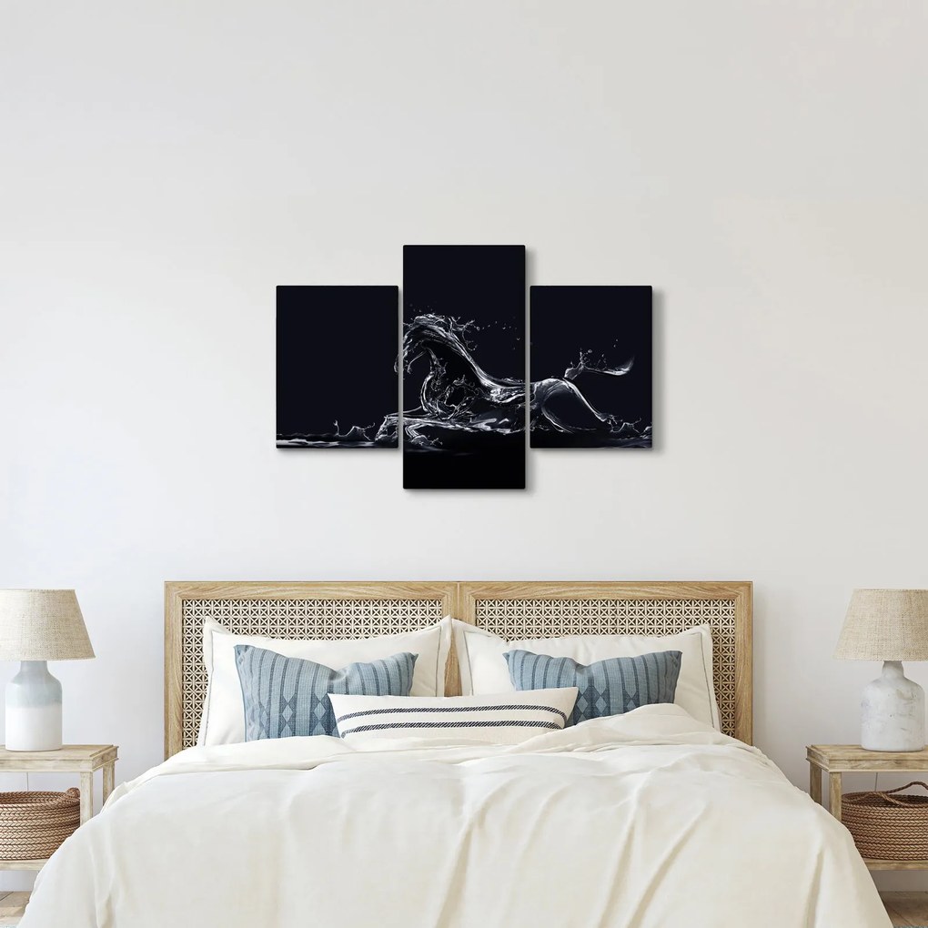 Obraz - Kôň a voda (90x60 cm)