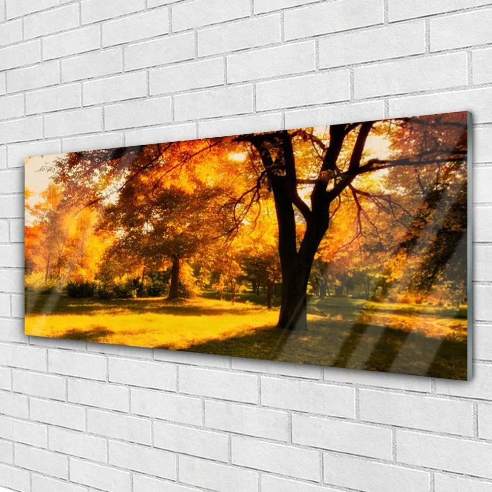 Obraz plexi Stromy jeseň príroda 125x50 cm