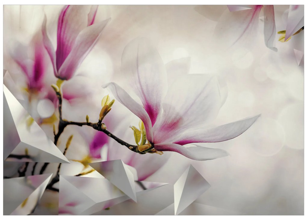 Artgeist Fototapeta - Subtle Magnolias - Third Variant Veľkosť: 100x70, Verzia: Standard