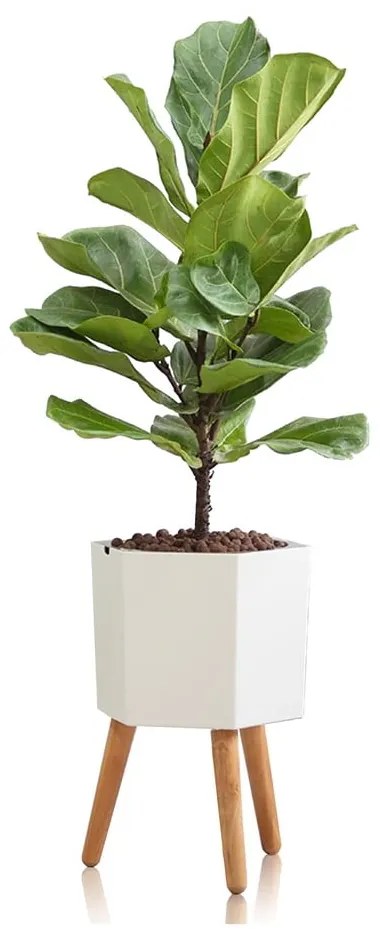 Biely samozavlažovací kvetináč Tomasucci Calla, ø 22,8 cm