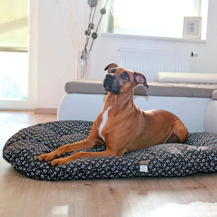 Vankúš pre psa LASKY veľ. M - 120 x 70 cm