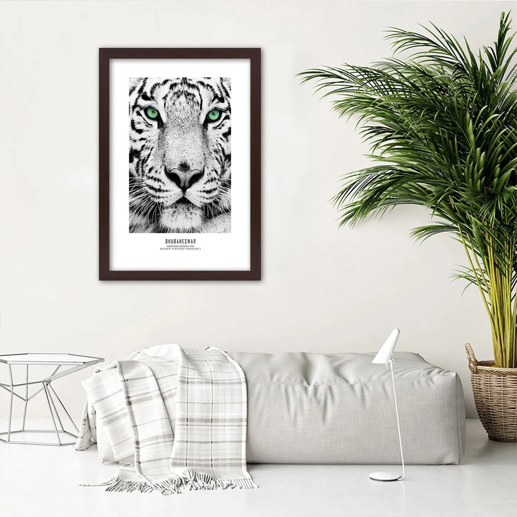 Gario Plagát Biely tiger Farba rámu: Bez rámu, Rozmery: 20 x 30 cm