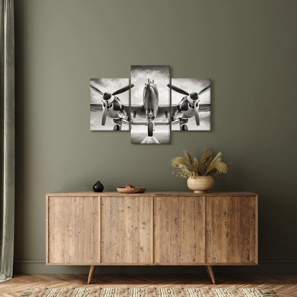 Obraz - Warbird (90x60 cm)