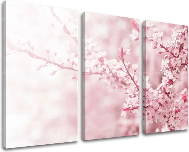 Obraz na stenu 3 dielny KVETY KV063E30 - 120x80 cm