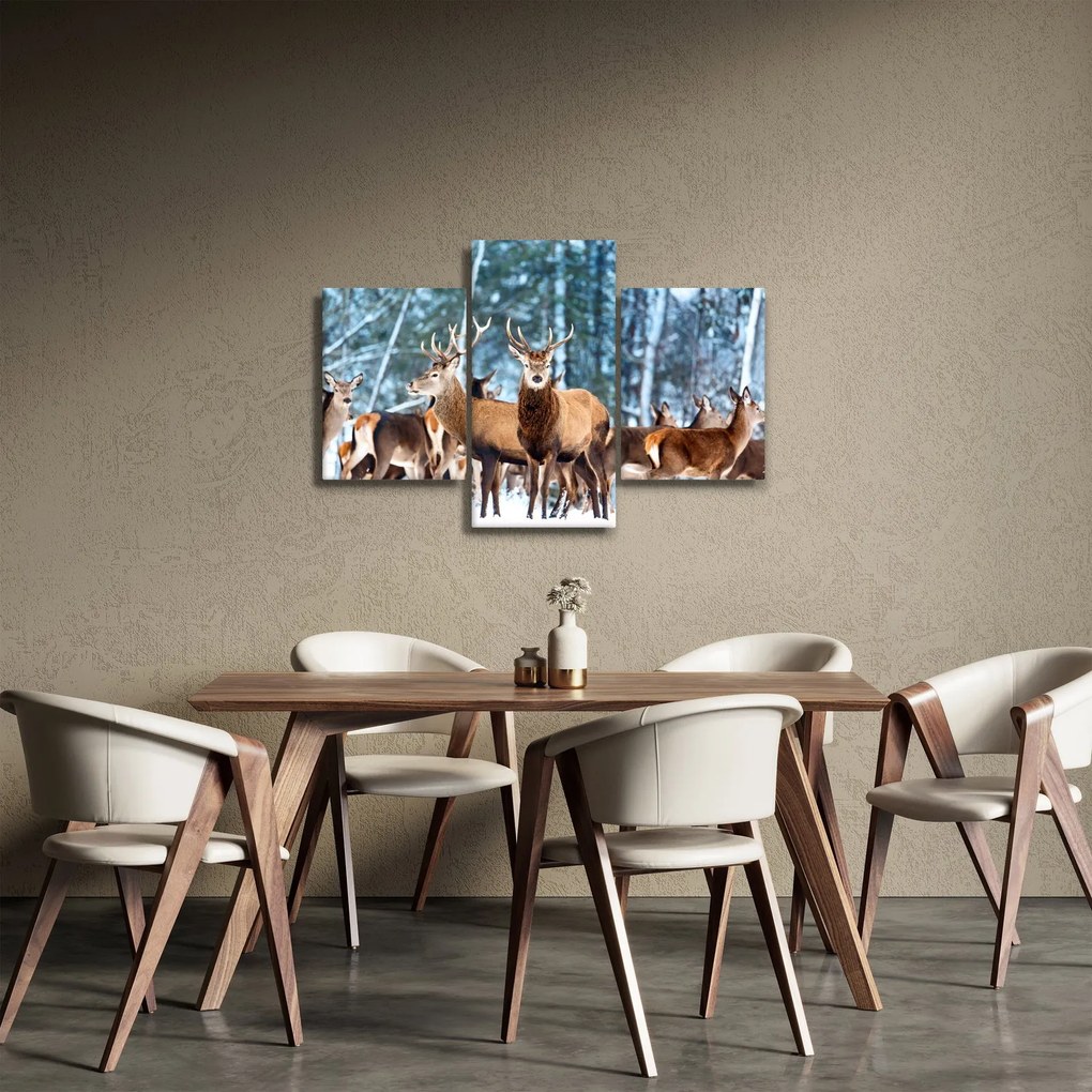 Obraz - Stádo jeleňov (90x60 cm)