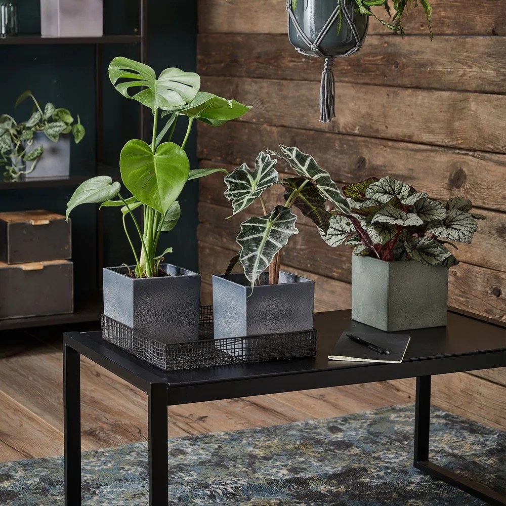 Fialový keramický kvetináč Big pots Latina, 15 x 15 cm