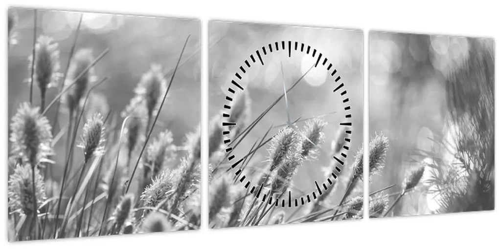 Obraz - Béžová soft grass N⁰1 (s hodinami) (90x30 cm)