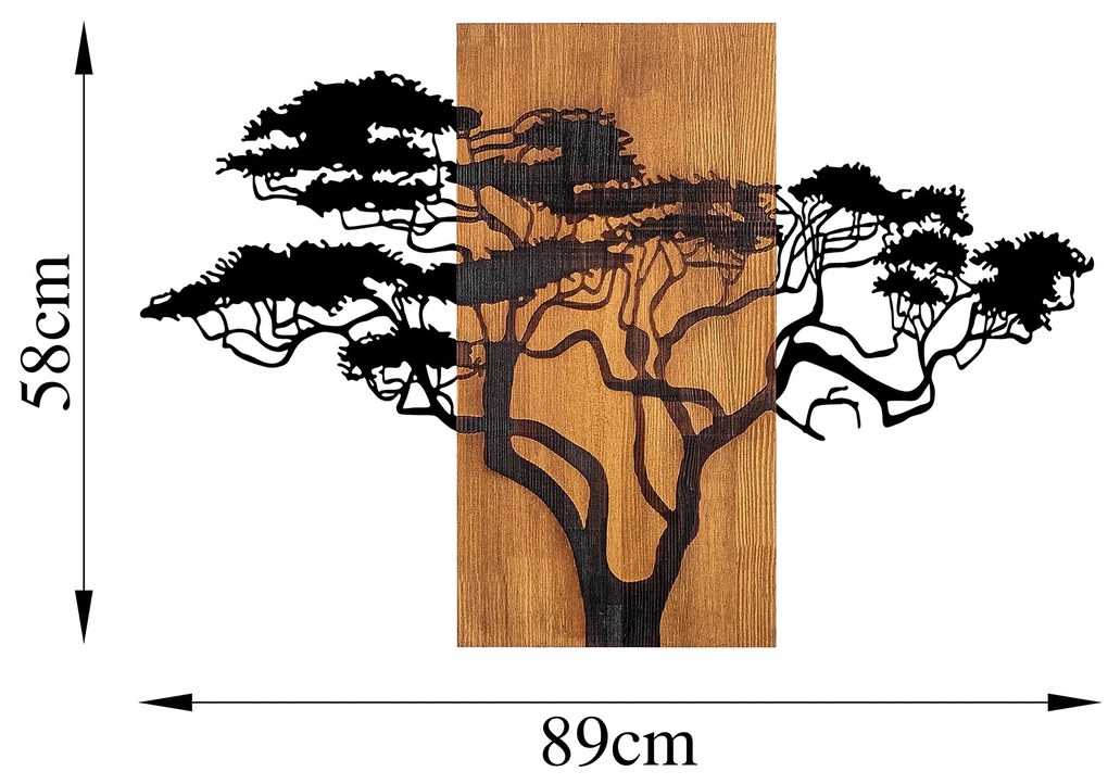 Acacia Tree - 387