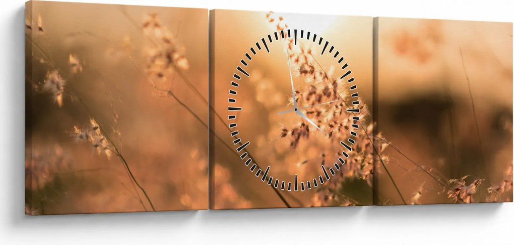 Obraz - Tráva na slnku (s hodinami) (90x30 cm)