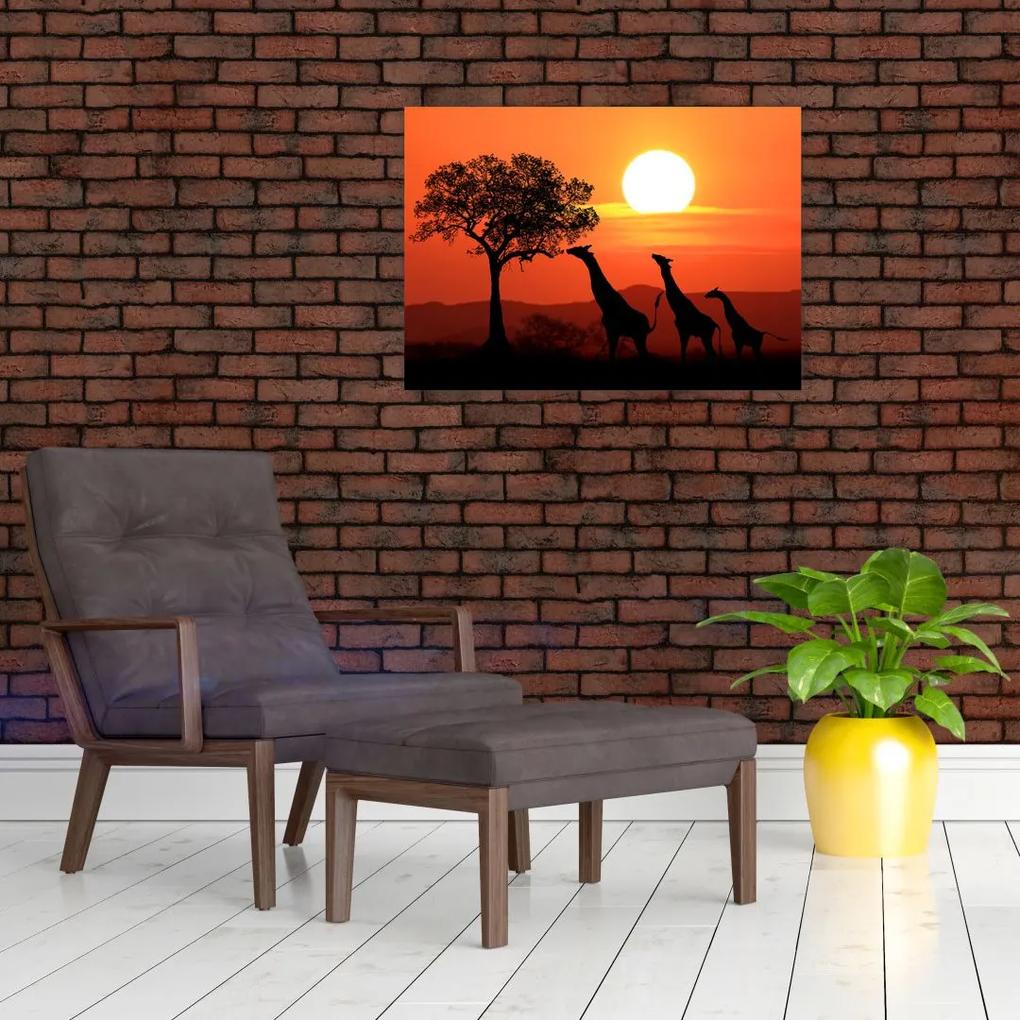 Sklenený obraz žirafy pri západe slnka (70x50 cm)