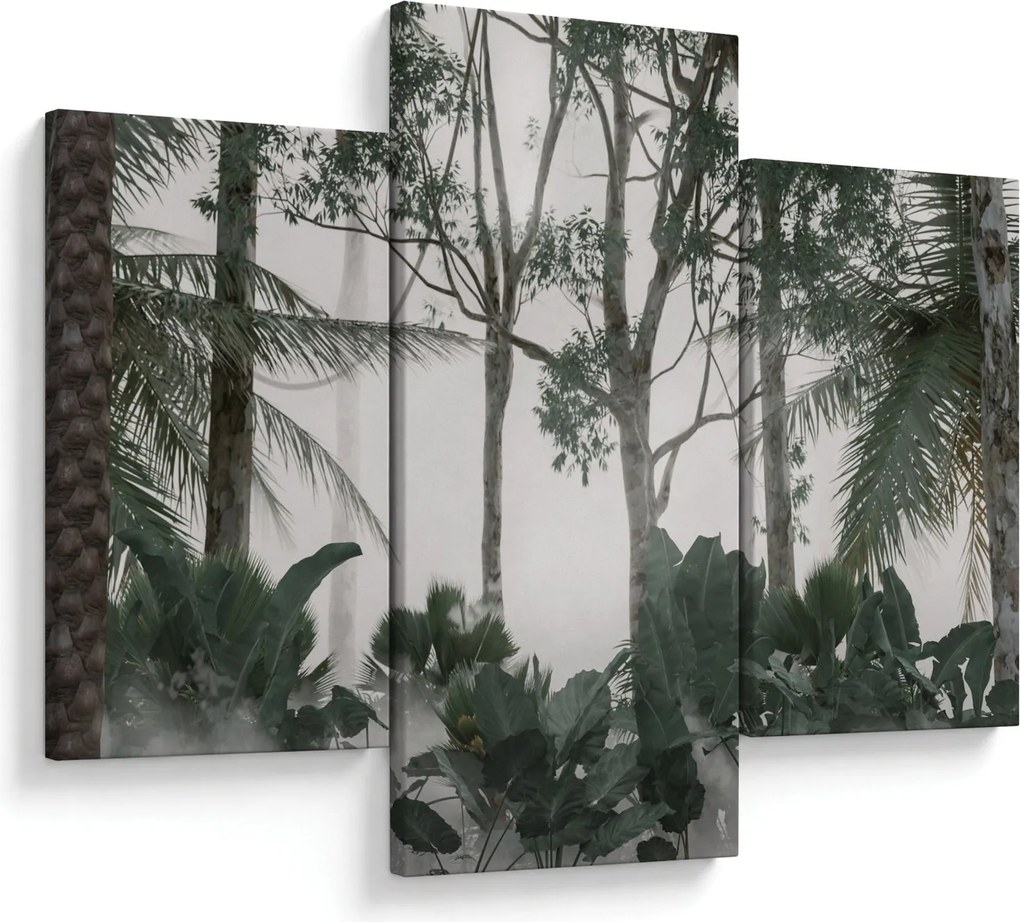 Obraz - Jungle v rannej hmle (90x60 cm)