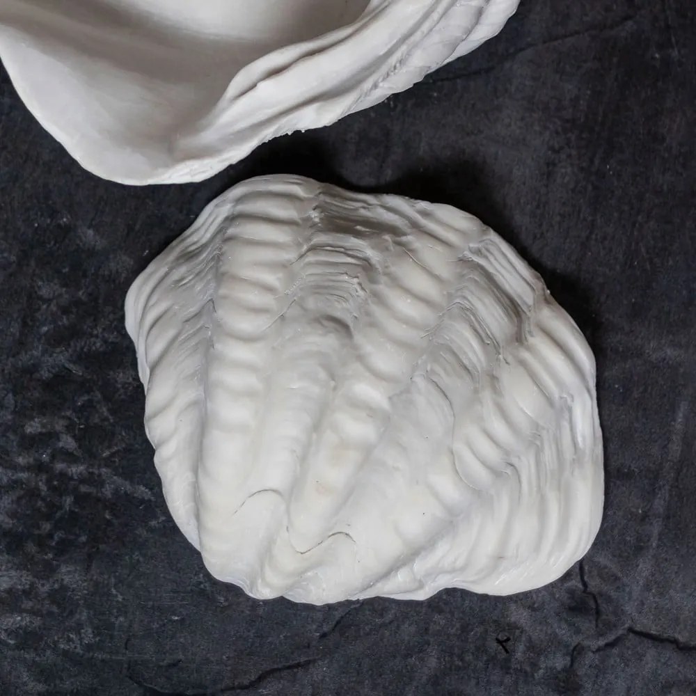 Dekoratívna misa z polyresínu 24x19 cm Shell – Mette Ditmer Denmark