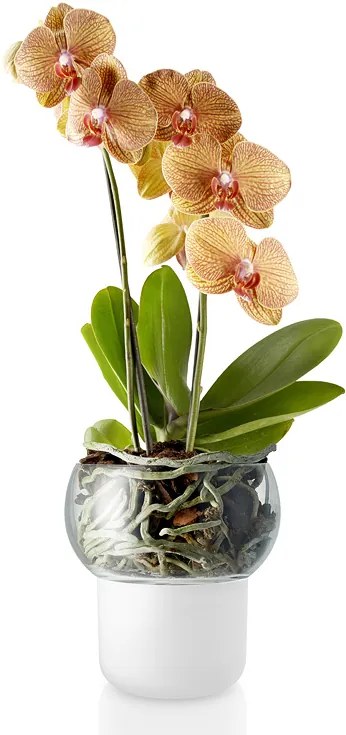 Sklenený samozavlažovací kvetináč na orchidey OE 13 cm, Eva Solo