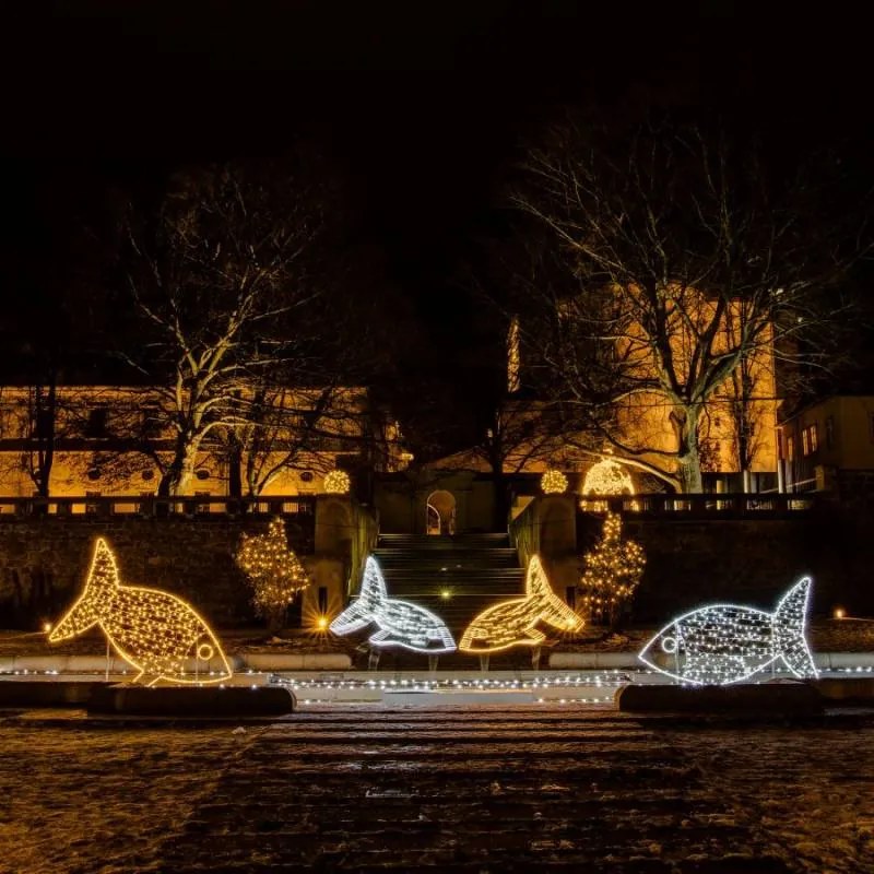 DECOLED Hadica LED 100 m, teplá biela, IP44 Easy Fix