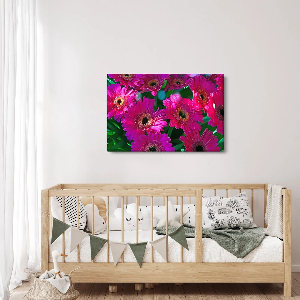 Obraz - kvety (90x60 cm)