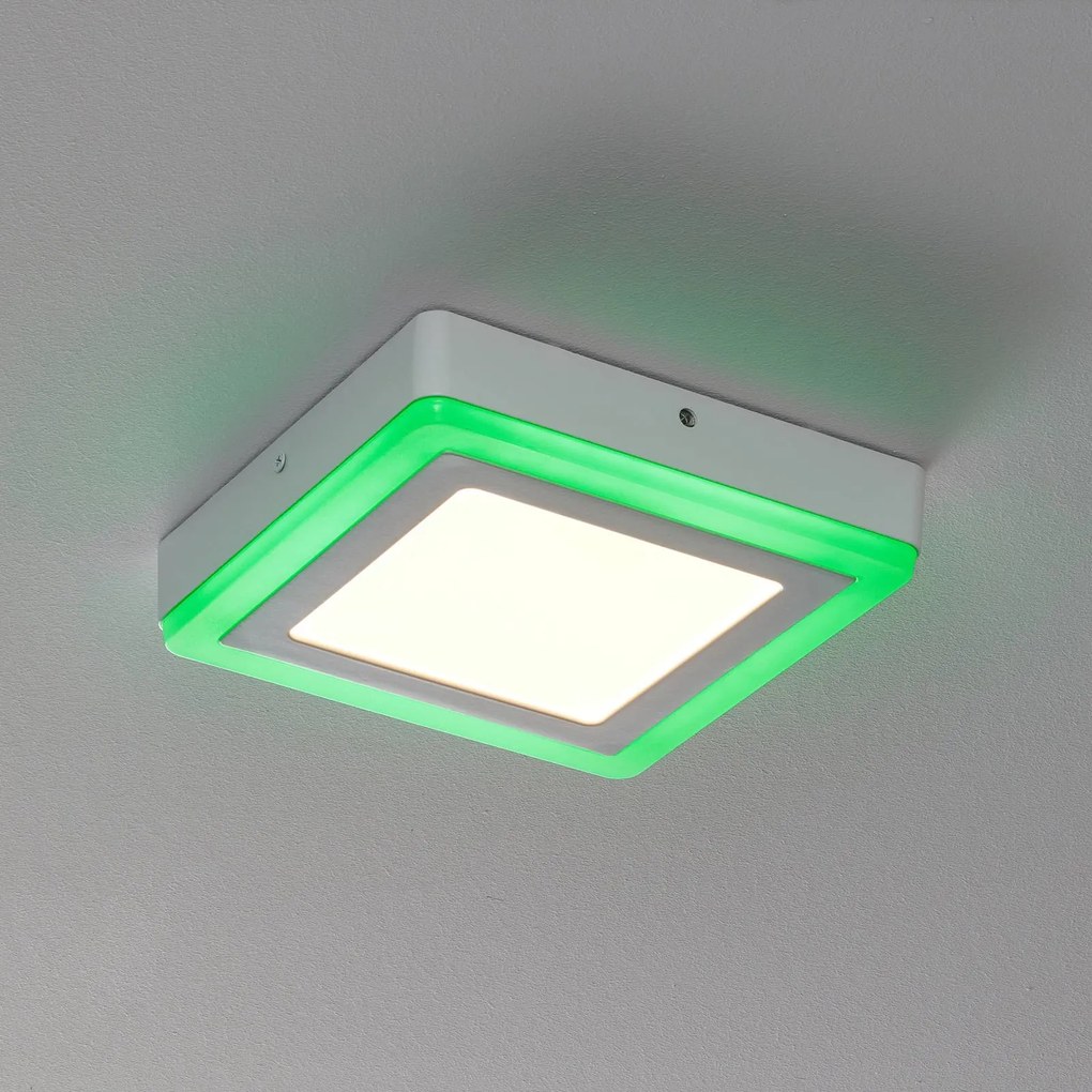 LEDVANCE LED Color+white square stropná lampa 20cm