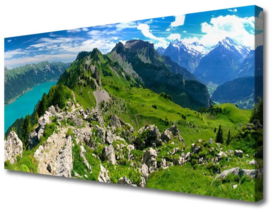 Obraz Canvas Lúka hory príroda príroda 140x70 cm