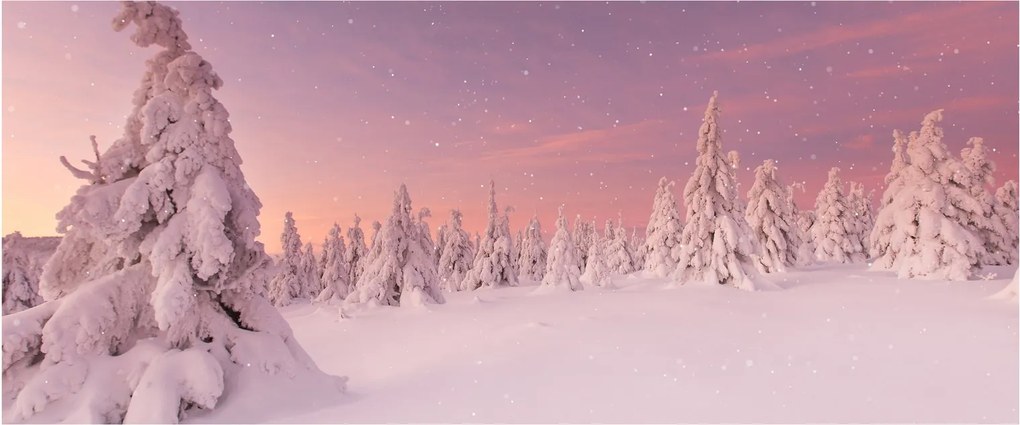 Obraz - Stromy pod snehovou prikrývkou (120x50 cm)