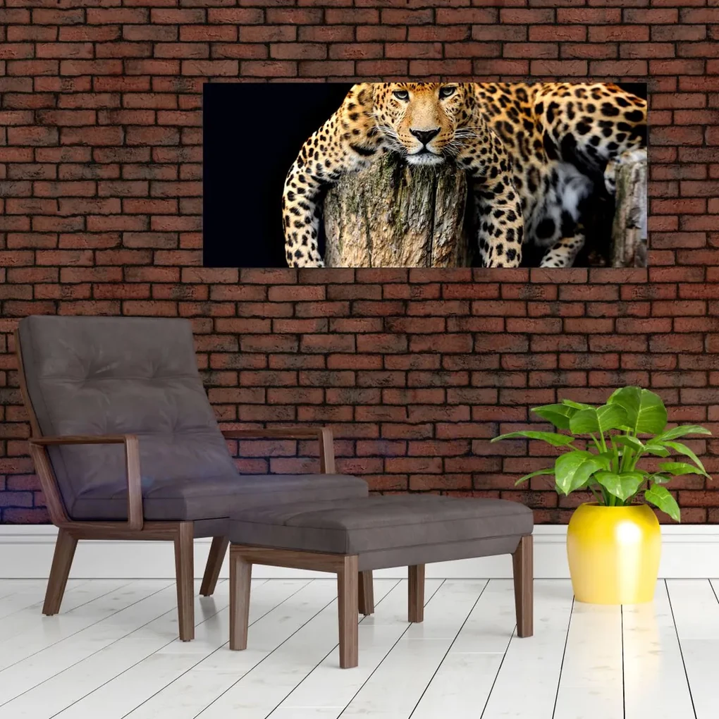 Obraz - Gepard (120x50 cm)