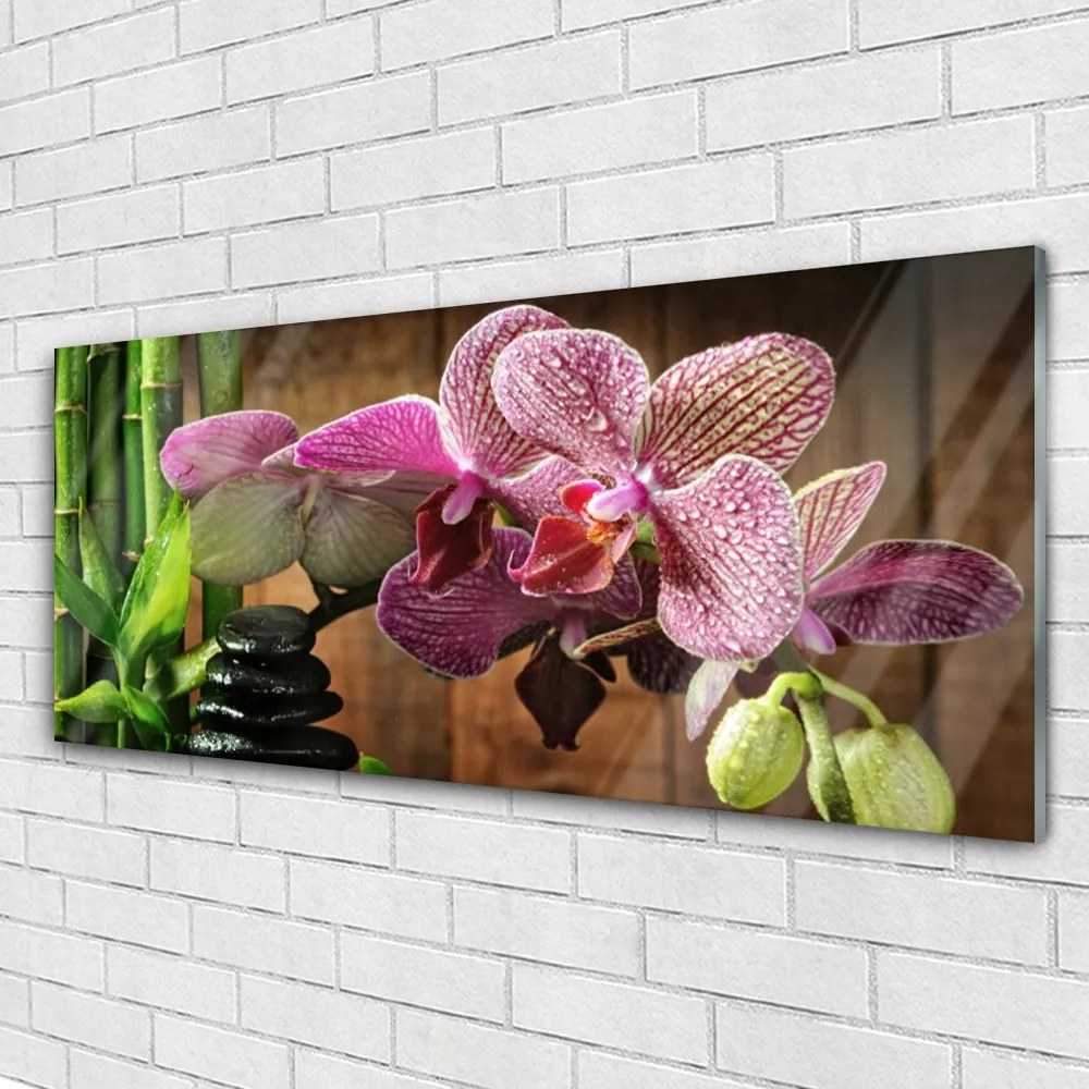 Obraz na akrylátovom skle Kvetiny bambus rastlina 125x50 cm
